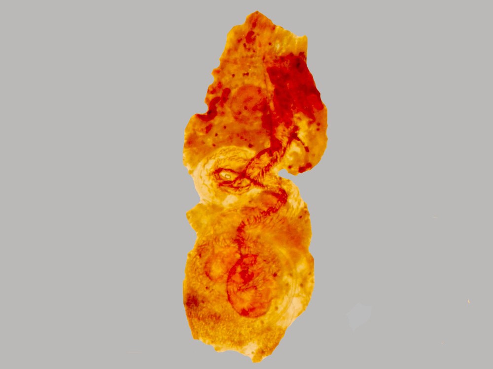 Bild Nr.08187 zum Vergrößern klicken Bild Nr.08187